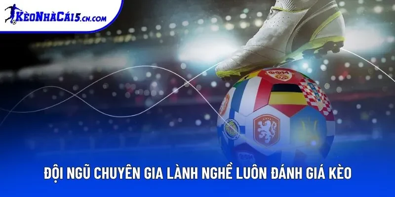 Đội ngũ chuyên gia lành nghề luôn đánh giá kèo Đội ngũ chuyên gia lành nghề luôn đánh giá kèo